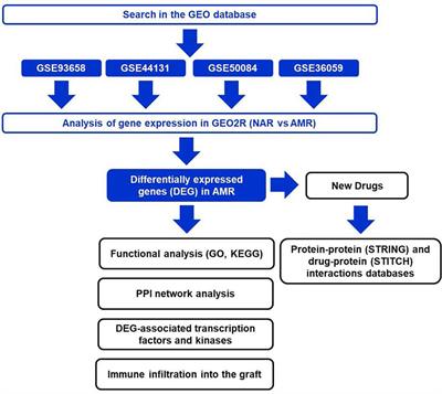 Computational Prediction of Biomarkers, Pathways, and New Target Drugs in the Pathogenesis of Immune-Based Diseases Regarding Kidney Transplantation Rejection